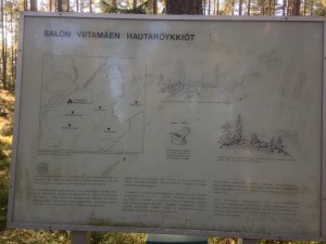 History of the Viitankruunu ancient site